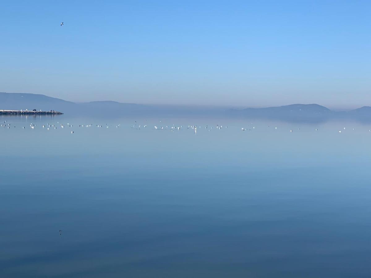 Topart Apartman I Balatonfenyves Eksteriør billede