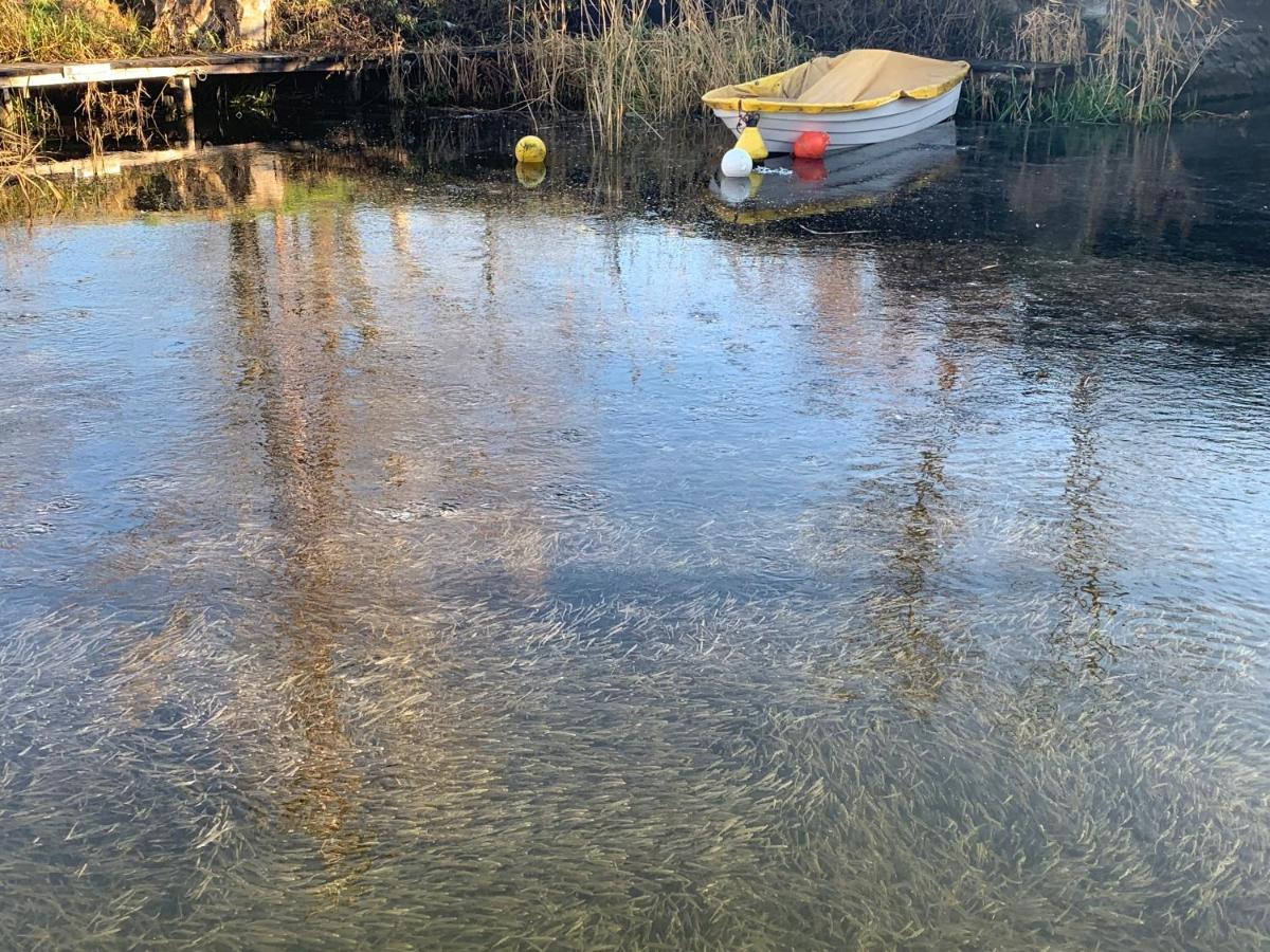 Topart Apartman I Balatonfenyves Eksteriør billede