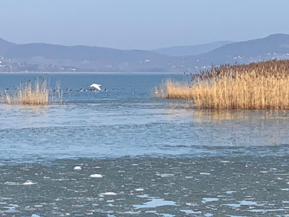 Topart Apartman I Balatonfenyves Eksteriør billede