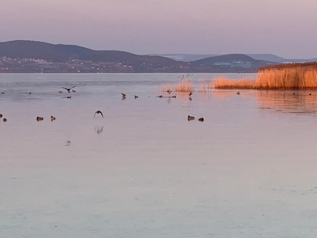 Topart Apartman I Balatonfenyves Eksteriør billede